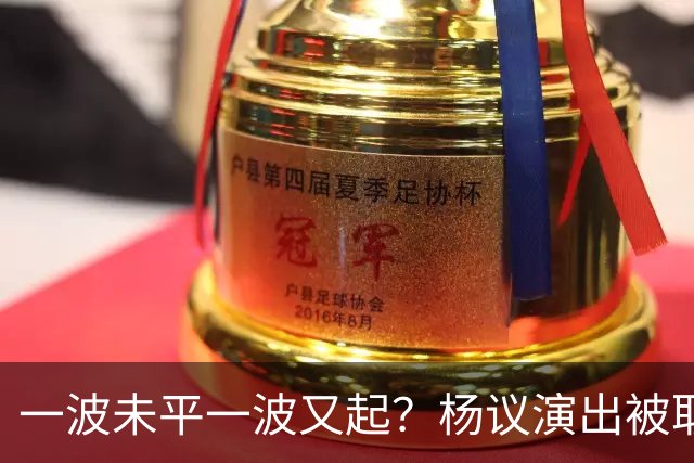 一波未平一波又起？杨议演出被取消，条子哥翻脸，老郭评价没说错