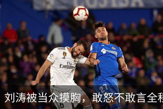 刘涛被当众摸胸，敢怒不敢言全程陪笑
