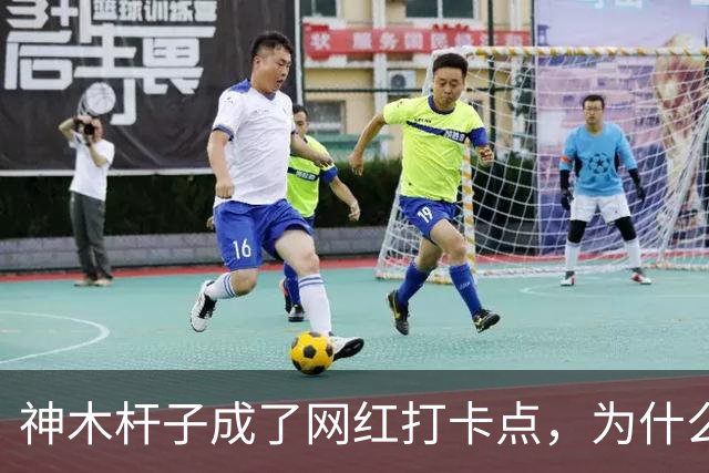 神木杆子成了网红打卡点，为什么要围起来？