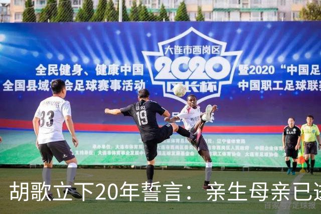 胡歌立下20年誓言：亲生母亲已逝，还有另一对父母在山东等着他