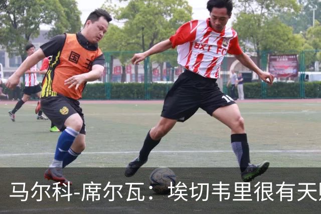 马尔科-席尔瓦：埃切韦里很有天赋，是否买断不必急于决定